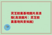 灵芝胶囊基地图片高清版(高清图片：灵芝胶囊基地风景如画)