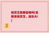 摘灵芝需要留根吗(留根采摘灵芝，益处大！)