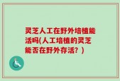 灵芝人工在野外培植能活吗(人工培植的灵芝能否在野外存活？)