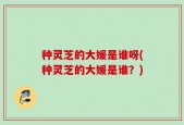 种灵芝的大媛是谁呀(种灵芝的大媛是谁？)