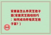 家里面怎么养灵芝孢子苗(家居灵芝栽培技巧：如何成功养殖灵芝孢子苗？)