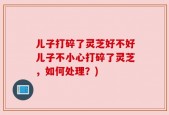 儿子打碎了灵芝好不好儿子不小心打碎了灵芝，如何处理？)