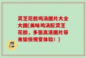 灵芝花胶鸡汤图片大全大图(美味鸡汤配灵芝花胶，多张高清图片带来愉悦视觉体验！)