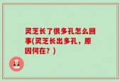 灵芝长了很多孔怎么回事(灵芝长出多孔，原因何在？)