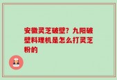 安徽灵芝破壁？九阳破壁料理机是怎么打灵芝粉的