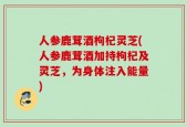 人参鹿茸酒枸杞灵芝(人参鹿茸酒加持枸杞及灵芝，为身体注入能量)