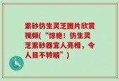 紫砂仿生灵芝图片欣赏视频(“惊艳！仿生灵芝紫砂器宜人亮相，令人目不转睛”)