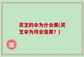 灵芝的伞为什会黑(灵芝伞为何会变黑？)