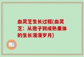 血灵芝生长过程(血灵芝：从孢子到成熟果体的生长漫漫岁月)