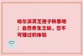 哈尔滨灵芝孢子粉基地：自然养生之旅，您不可错过的体验