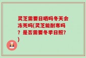 灵芝需要日晒吗冬天会冻死吗(灵芝能耐寒吗？是否需要冬季日照？)
