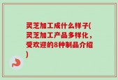 灵芝加工成什么样子(灵芝加工产品多样化，受欢迎的8种制品介绍)