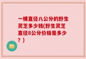 一棵直径八公分的野生灵芝多少钱(野生灵芝直径8公分价格是多少？)