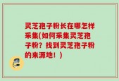 灵芝孢子粉长在哪怎样采集(如何采集灵芝孢子粉？找到灵芝孢子粉的来源地！)