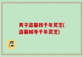 男子盗墓找千年灵芝(盗墓贼寻千年灵芝)