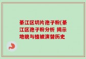 綦江区切片孢子粉(綦江区孢子粉分析 揭示地貌与植被演替历史
