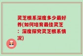 灵芝根系深度多少最好养(如何培育最佳灵芝：深度探究灵芝根系情况)