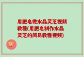 用肥皂做水晶灵芝视频教程(用肥皂制作水晶灵芝的简易教程视频)