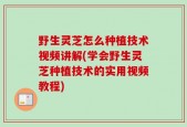 野生灵芝怎么种植技术视频讲解(学会野生灵芝种植技术的实用视频教程)