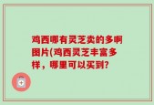 鸡西哪有灵芝卖的多啊图片(鸡西灵芝丰富多样，哪里可以买到？