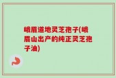 峨眉道地灵芝孢子(峨眉山出产的纯正灵芝孢子油)