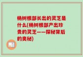 杨树根部长出的灵芝是什么(杨树根部产出珍贵的灵芝——探秘背后的奥秘)