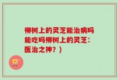 柳树上的灵芝能治病吗能吃吗柳树上的灵芝：医治之神？)