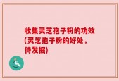 收集灵芝孢子粉的功效(灵芝孢子粉的好处，待发掘)