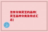 怎样分别灵芝的品种(灵芝品种分类及特点汇总)