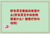 野生灵芝里面白色是什么(野生灵芝中白色物质是什么？聚焦疗效与功效)