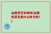 山西灵芝长啥样(山西的灵芝是什么样子的？)