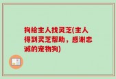 狗给主人找灵芝(主人得到灵芝帮助，感谢忠诚的宠物狗)