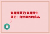宜昌野灵芝(宜昌野生灵芝：自然滋养的良品)