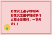 野生灵芝孢子粉视频(野生灵芝孢子粉的制作过程全景视频，一览无余！)