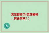 灵芝都碎了(灵芝破碎，何去何从？)