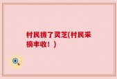 村民拔了灵芝(村民采摘丰收！)