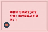 哪种灵芝是灵芝(灵芝分类：哪种是真正的灵芝？)