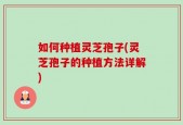 如何种植灵芝孢子(灵芝孢子的种植方法详解)