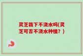 灵芝栽下不浇水吗(灵芝可否不浇水种植？)