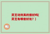 灵芝功效真的很好吗(灵芝有哪些好处？)