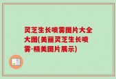 灵芝生长喷雾图片大全大图(美丽灵芝生长喷雾-精美图片展示)