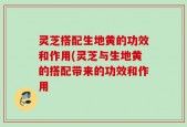 灵芝搭配生地黄的功效和作用(灵芝与生地黄的搭配带来的功效和作用