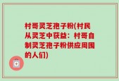 村哥灵芝孢子粉(村民从灵芝中获益：村哥自制灵芝孢子粉供应周围的人们)