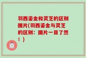 羽西鎏金和灵芝的区别图片(羽西鎏金与灵芝的区别：图片一目了然！)