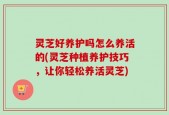 灵芝好养护吗怎么养活的(灵芝种植养护技巧，让你轻松养活灵芝)