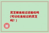 灵芝被虫蛀过还能吃吗(可以吃虫蛀过的灵芝吗？)