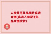 人参灵芝礼品图片高清大图(高清人参灵芝礼品大图欣赏)