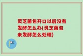 灵芝菌包开口以后没有发酵怎么办(灵芝菌包未发酵怎么处理)