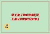 灵芝孢子粉成熟期(灵芝孢子粉的收获时机)