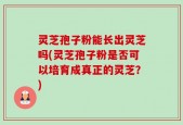 灵芝孢子粉能长出灵芝吗(灵芝孢子粉是否可以培育成真正的灵芝？)